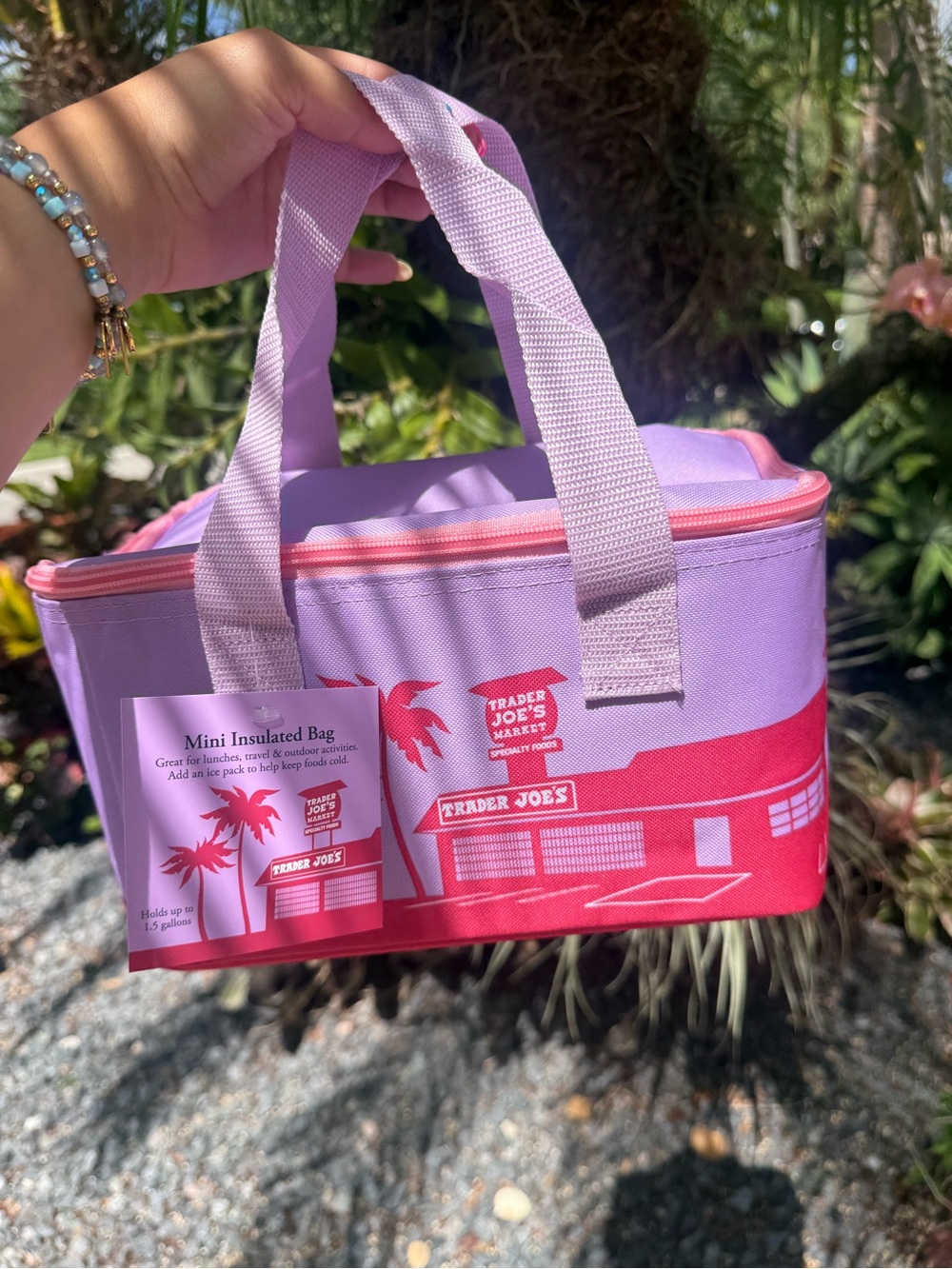 NWT | Trader Joe's Pink & Lavender Mini Insulated Tote